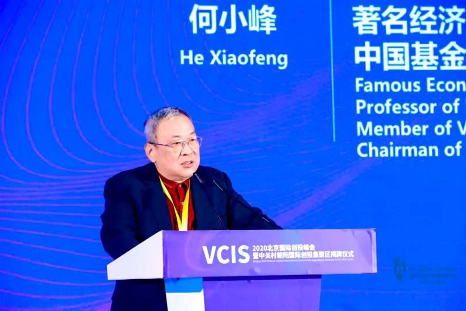 著名经济学家、投资银行专家、北京大学经济学院金融学系教授何小锋