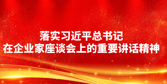 落实习近平总书记在企业家座谈会上的重要讲话精神