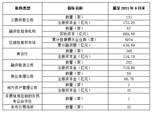 2021年上半年地方金融组织数据